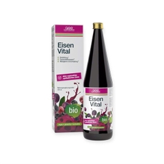 Siro bổ sung Sắt từ thực vật hữu cơ cho trẻ em GSE 330ml