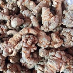 Tam Thất Bắc 500gr 24 củ ( Củ)