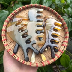 Sừng Trâu bạc con ngựa 11cm