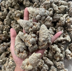 Tam thất Bắc size 24 củ ( loại 1)