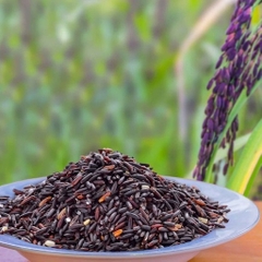 Gạo Lứt Tím Than Sóc Trăng 1kg (Túi)
