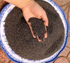 Hạt Mè Đen Sạch 1kg ( Túi)