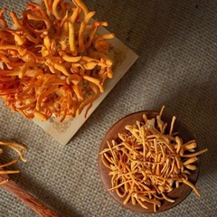 Nấm Đông Trùng 100gr
