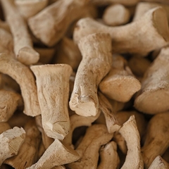 Chân Nấm Hương hữu cơ 500gr