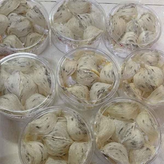 Yến Thô Già Ít Lông 100gr