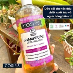 Dầu gội cho TÓC DA DẦU chiết khấu Táo và ngưu bàng hữu cơ Coslys (500ml)