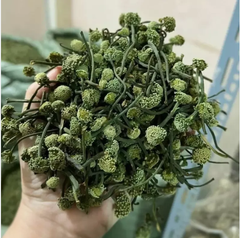 Nụ Tam Thất 500gr ( Hộp)