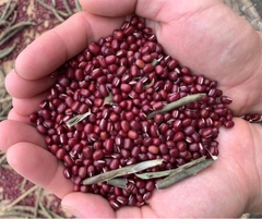 Đậu Đỏ Nghệ An 1kg ( Túi)