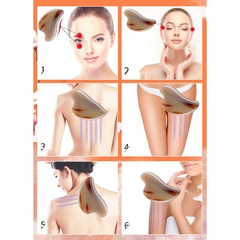 Sừng Trâu Bạc ( Hình Tim ) 10cm