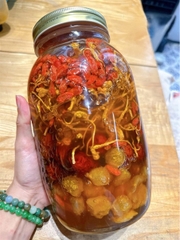 Bình Ngâm Đông Trùng Táo Đỏ Kỉ Tử Long Nhãn ( Bình 1.5L)