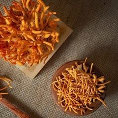 Nấm Đông Trùng 50gr