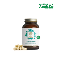 Enzym Pure Synergy 90 viên (Hộp)