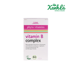 Vitamin B complex từ Thực vật hữu cơ GSE Hộp 60v
