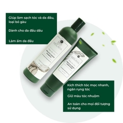 Dầu gội gừng Weilaiya 400ml (WEILAIYA GINGER SHAMPOO)
