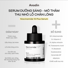 Serum dưỡng da ANODIN NIACINAMIDE 10 PLUS SERUM