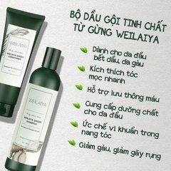 Dầu gội gừng Weilaiya 400ml (WEILAIYA GINGER SHAMPOO)