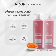 Cặp gội xả MIXRS 500ML