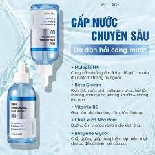 Sản Phẩm Dưỡng Ẩm Da Wellage Real Hyaluronic Blue 100 Ampoule 60ml