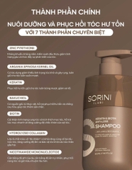 CẶP GỘI XẢ SORINI LAB 500ML
