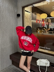 [SVIP] Áo Sweater Form Boxy Thêu Đắp HEAVEN SENT Chất Nỉ Bông - HS_HD001