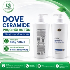 Dầu gội DOVE phục hồi hư tổn 850g