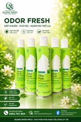 LACTACYD FEMININE WASH 250ML ODOR FRESH VN X 24 chai