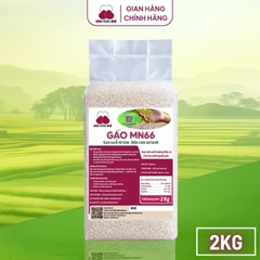 Gạo MN66 - Túi 2kg