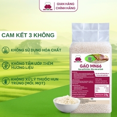 Gạo MN66 - Túi 2kg