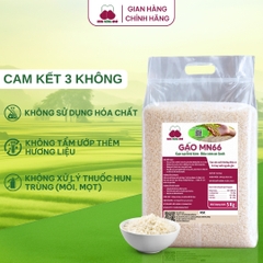 Gạo MN66 - Túi 5kg