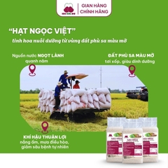 Gạo MN66 - Túi 2kg