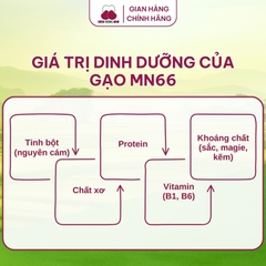 Gạo MN66 - Túi 2kg