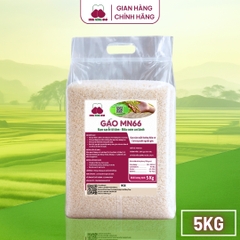 Gạo MN66 - Túi 5kg