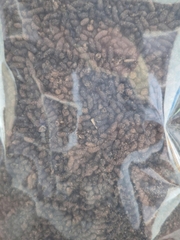 Phân dơi tự nhiên - BAT GUANO