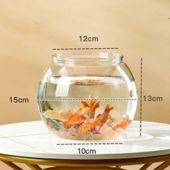 Chậu cá tròn trong suốt để bàn
