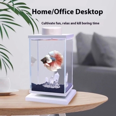 Hồ cá Betta decor để bàn xoay 360 độ