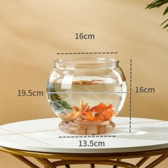 Chậu cá tròn trong suốt để bàn