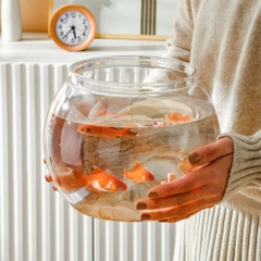 Chậu cá tròn trong suốt để bàn