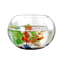 Chậu cá mini để bàn kèm phụ kiện decor