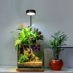 Đèn Led kèm Đế Gỗ Ánh Sáng Trắng vàng