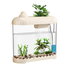 Hồ cá Betta để bàn có lọc và đèn LED