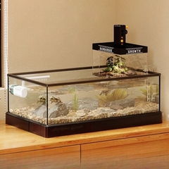 Hồ cá để bàn decor cao cấp