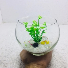 Chậu cá mini để bàn kèm phụ kiện decor