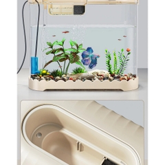 Hồ cá Betta để bàn có lọc và đèn LED