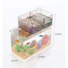 Hồ cá để bàn mini lọc tràn siêu sạch, decor văn phòng