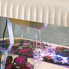 Hồ cá Betta để bàn có lọc và đèn LED