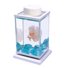 Hồ cá Betta decor để bàn xoay 360 độ