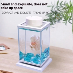 Hồ cá Betta decor để bàn xoay 360 độ