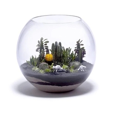 Chậu cá mini để bàn kèm phụ kiện decor