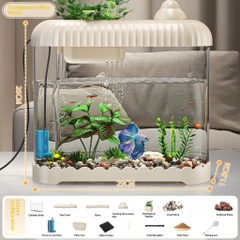 Hồ cá Betta để bàn có lọc và đèn LED