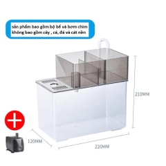 Hồ cá để bàn mini lọc tràn siêu sạch, decor văn phòng